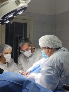 Operaron con éxito a un cóndor andino rescatado en La Rioja